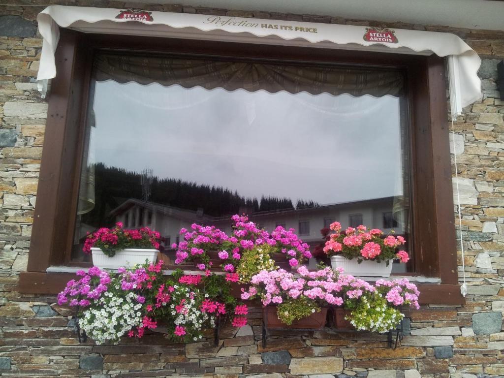 Hotel Iva & Elena Pamporovo Buitenkant foto